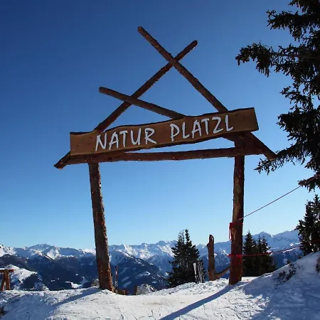 Chalet Chalet Saliterer Großarl